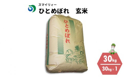 かなめ様専用‼ひとめぼれ30kg!!の+colegiosantamariaeufrasia.cl