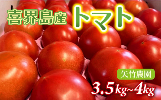 喜界町産トマト3.5kg~4.0kg　矢竹農園