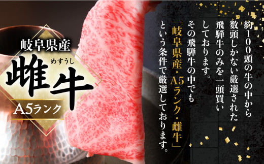 A5 飛騨牛 ステーキ (ロース・ヒレ) 4枚セット ヒレステーキ 黒毛和牛
