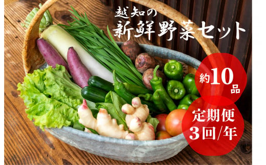 越知産市の季節の野菜セット(年3回発送)　産地直送　旬野菜 13429 - 高知県越知町
