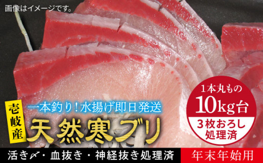 【11/1〜1/15お届け 年末年始用】天然 寒ブリ（10キロ台・3枚おろし） 《壱岐市》【壱岐島　玄海屋】[JBS037] ぶり 寒ぶり ブリ 魚 刺身 しゃぶしゃぶ 310000 310000円 31万円 416787 - 長崎県壱岐市