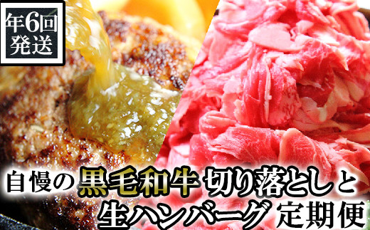N02-13 【年6回発送】総合計14.4㎏！自慢の黒毛和牛切落しと手作り生ハンバーグ定期便