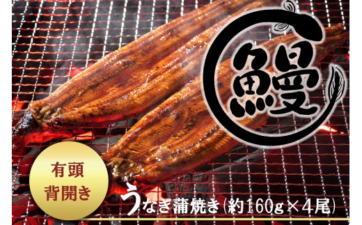 有頭背開き中国産