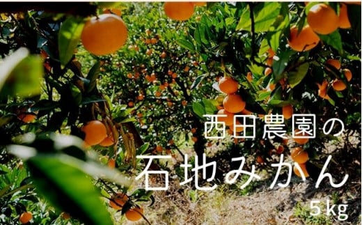大崎上島産 西田農園の石地みかん 約5kg（約50個前後）。樹上完熟のコクと甘みが特徴のみかんです。