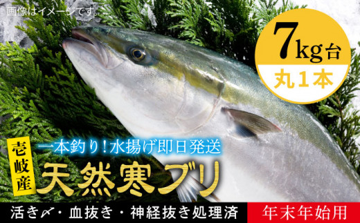 [11/1〜1/15お届け 年末年始用]天然 寒ブリ(7キロ台・丸もの) [壱岐市][壱岐島 玄海屋][JBS016] ぶり 寒ぶり ブリ 魚 刺身 しゃぶしゃぶ 140000 140000円 14万