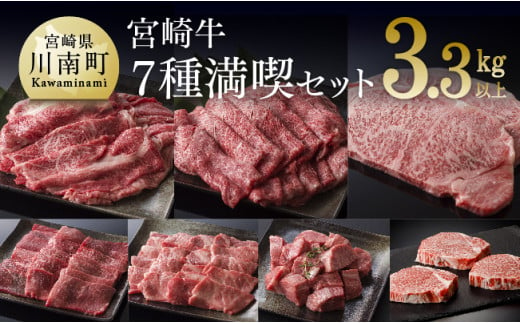 宮崎牛 満喫セット 7種 3.3kg 年内発送 年内配送 選べる発送月 肉 牛 牛肉 国産 黒毛和牛