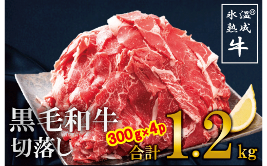010B689 氷温熟成された黒毛和牛の切り落し1.2kg（300g×4パック）
