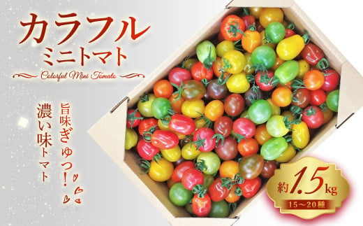 15～20種 の カラフル ミニトマト 合計約1.5kg トマト 完熟 798950 - 熊本県熊本市