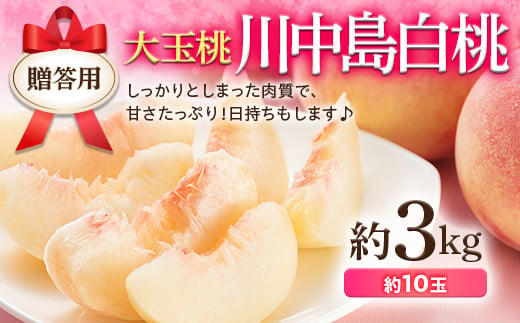 福島の桃 川中島 3kg（約10玉） 先行予約 フルーツ 果物 伊達市産もも  もも モモ momo F20C-521 344356 - 福島県伊達市