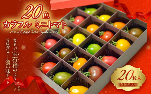 20色 カラフル ミニトマト 20粒 トマト 完熟 798949 - 熊本県熊本市