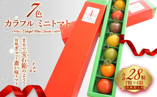 7色 カラフル ミニトマト 7粒×4箱セット トマト 完熟 798951 - 熊本県熊本市