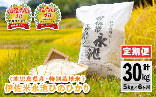 減農薬栽培 玄米 30kg のとひかり食品/飲料/酒