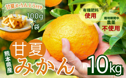 【2022年3月上旬発送】甘夏みかん 約10kg＆甘夏かりんとう 100g 果物 菓子