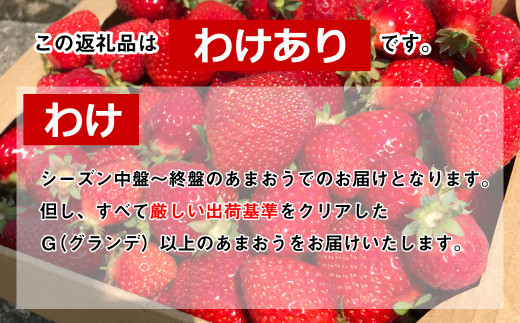 【2022年3月上旬～4月下旬まで発送】いちごの一大産地福岡・博多特産 あまおう【訳あり】6パック 約1,680g 苺 いちご