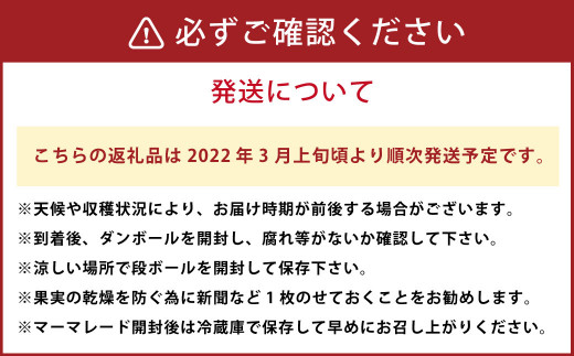 【2022年3月上旬発送予定】甘夏みかん 約10kg＆マーマレード 250g 果物 ジャム