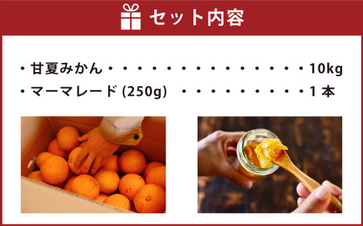 【2022年3月上旬発送予定】甘夏みかん 約10kg＆マーマレード 250g 果物 ジャム