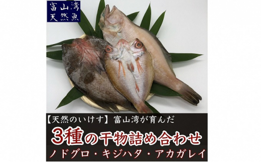 5617 0594 数量限定 富山湾産天然魚の干物3種詰め合わせ のどぐろ キジハタ アカガレイ 富山県魚津市 ふるさと納税 ふるさとチョイス