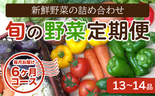 【6ヶ月定期便】 あわ地区 旬の野菜 詰め合わせ (13~14品程度) 半年間毎月お届け AWA8000 322386 - 高知県須崎市