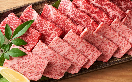 博多和牛 焼肉用 500g 牛肉 バラ ロース モモ