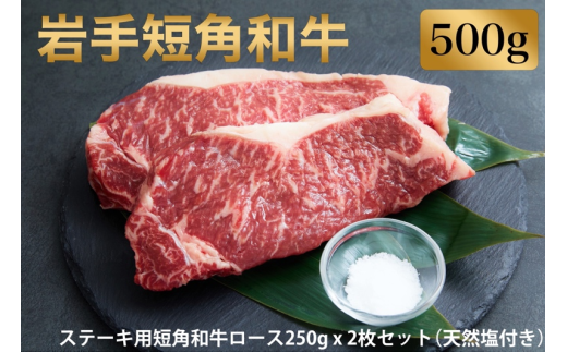 岩手短角和牛 ステーキ堪能セット ステーキ用短角和牛ロース250g 2枚 0075 岩手県岩手町 ふるさと納税 ふるさとチョイス