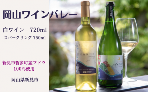 新見市哲多町産のぶどう100%を使った岡山ワインバレーの日本ワイン（白・スパークリング）2本セット 776038 - 岡山県新見市
