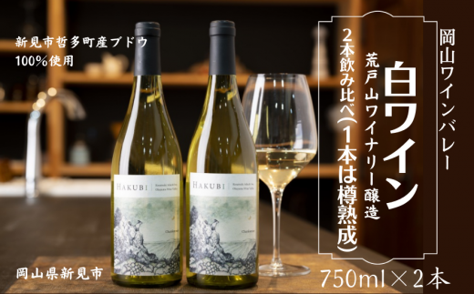 岡山ワインバレー 白ワイン 2本飲み比べセット 荒戸山ワイナリー醸造 750ml 777045 - 岡山県新見市