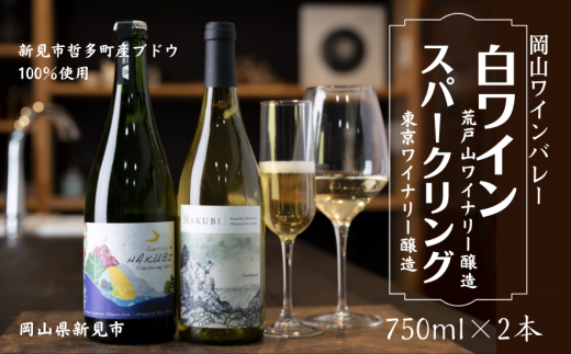 岡山ワインバレー 白ワイン・スパークリング 2本セット 荒戸山ワイナリー醸造 東京ワイナリー醸造 750ml 777042 - 岡山県新見市
