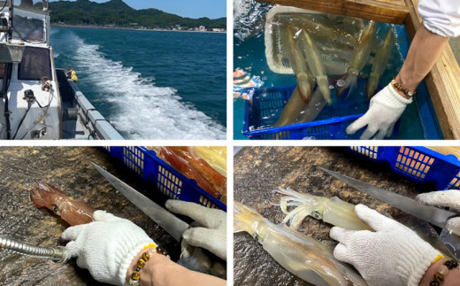 いかまるくん いか餃子 糸島 活魚料理 ふく丸 Abj001 福岡県糸島市 ふるさと納税 ふるさとチョイス