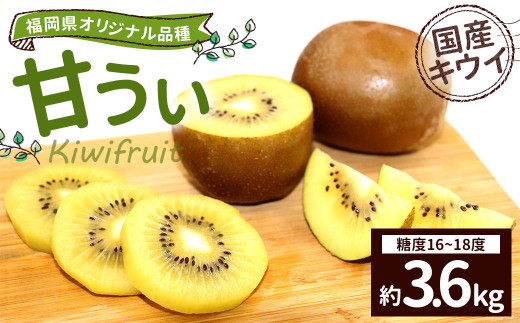 【2022年11月~12月発送】福岡県オリジナル品種 国産 キウイ「甘うぃ」約3.6kg キウイフルーツ
