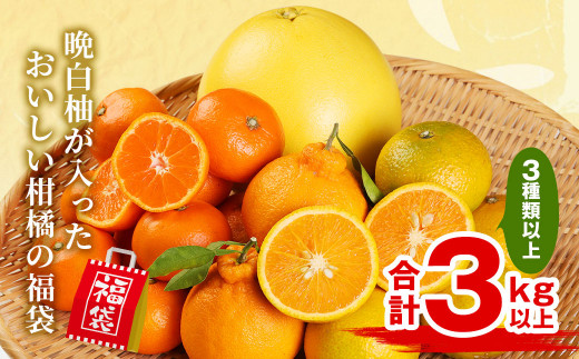柑橘詰合せ福袋 3種類以上 合計 3㎏以上 晩白柚 柑橘 オレンジ みかん