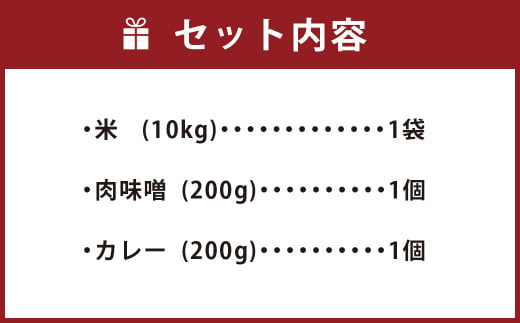 022-651 大分県産米 10㎏（精米済白米:ひのひかり）とご飯のお供セット（肉味噌・おおいた和牛こくうまカレー）