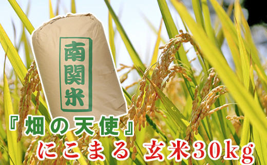 K05-8 九州一の栄冠に輝いた農家が作る! 『畑の天使』にこまる 玄米30kg