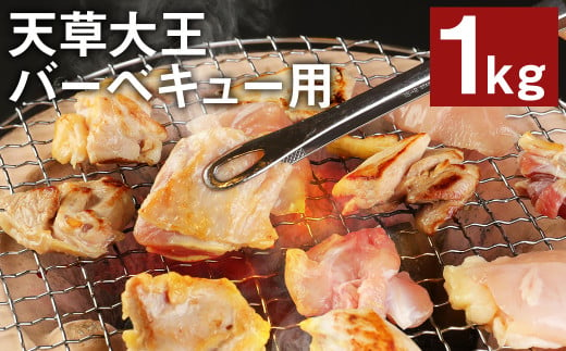 熊本県産 天草大王 バーベキュー用 カット肉 1kg（5～6人用）もも肉 むね肉 鶏肉 国産 地鶏 989712 - 熊本県菊池市