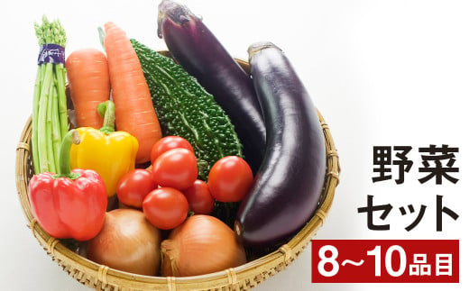 野菜 セット 旬の野菜8～10品のお届け ミニトマト キャベツ じゃがいも【養生市場】