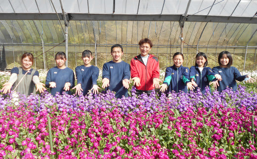 高森高校生徒考案 阿蘇・高森からお届け 新鮮な花束【4回定期便】