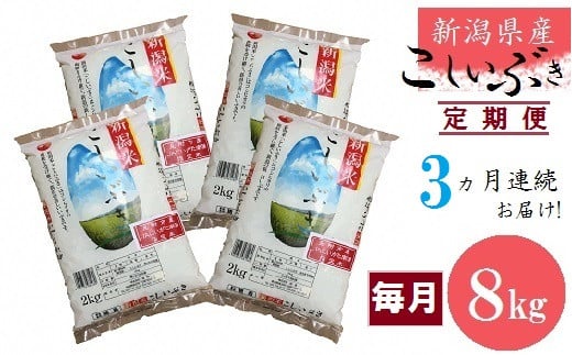 令和5年産 【3カ月連続お届け】新潟県産 こしいぶき 8㎏ (2kg×4袋) (精米)