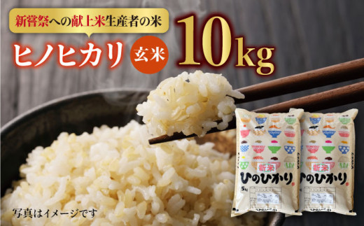 【皇室献上米生産者のお米】令和5年産  ヒノヒカリ 玄米 10kg ( 5kg×2 ) 【かづやの農園】 [HAP014]