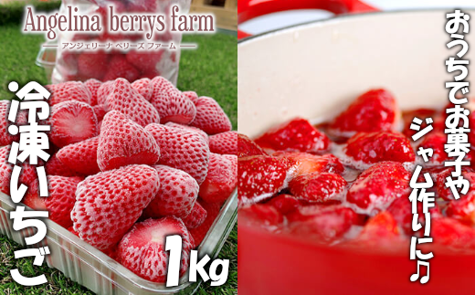 Angelina berrys farm 冷凍いちご　1kg　【11218-0426】 284809 - 埼玉県深谷市