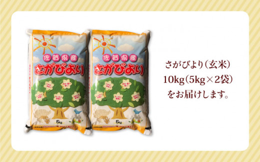 皇室献上米生産者のお米】令和5年産 新米 さがびより 玄米 10kg ( 5kg