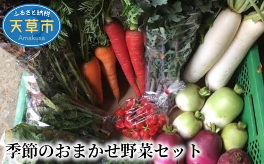 S096-002_季節のおまかせ野菜セット 318686 - 熊本県天草市