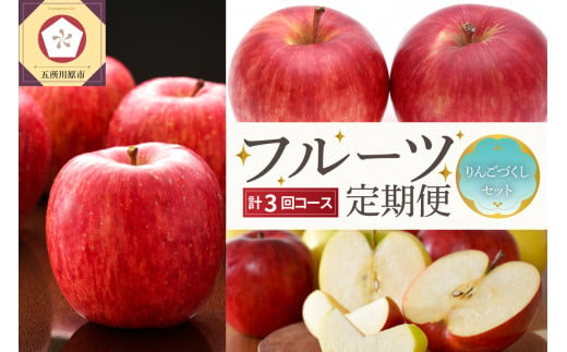 【2024年9月発送開始】 おいしい3種類☆フルーツ定期便【3回】（りんごづくし）りんご