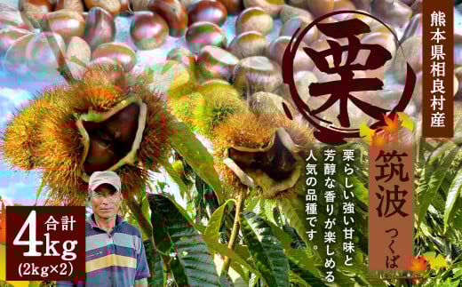 栗 筑波 4kg 【2025年9月下旬発送開始】 くり クリ 熊本県産 2135721 - 熊本県相良村