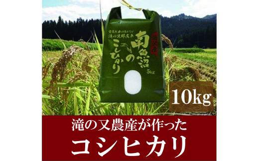 令和4年産 滝の又農産が作ったお米 精米10㎏（5㎏×2)【湯沢産コシヒカリ】