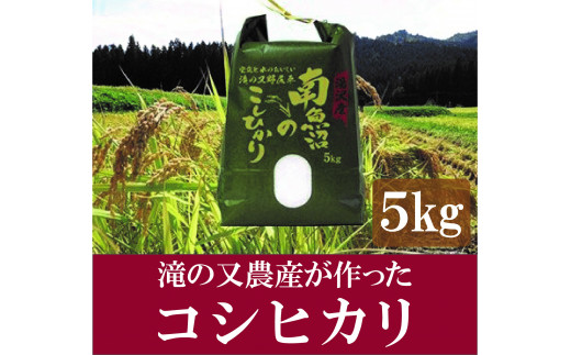 令和5年産 滝の又農産が作ったお米 精米5㎏【湯沢産コシヒカリ】