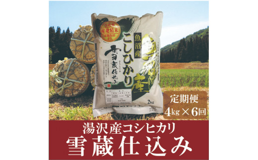 令和5年産【精米（白米）4kg/6回定期便】「雪蔵仕込み」【湯沢産