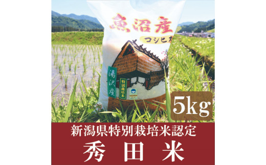 令和4年産 新潟県特別栽培米認定！味とツヤにこだわった「秀田米」 精米5㎏【湯沢産コシヒカリ】