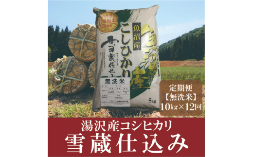 令和5年産【無洗米10kg/12回定期便】「雪蔵仕込み」【湯沢産コシヒカリ】