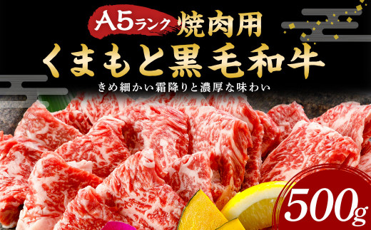 A5ランク くまもと 黒毛和牛 焼肉 500g 熊本県産 牛肉 和牛