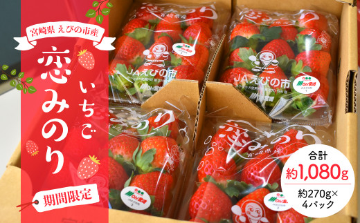【期間限定】 宮崎県 えびの市産 いちご 恋みのり 約270g×4パック