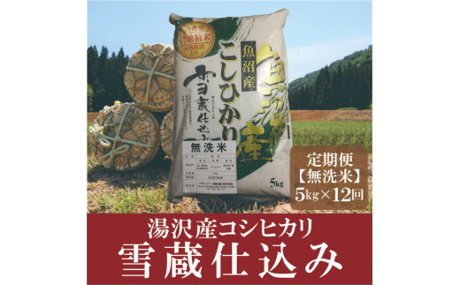 令和5年産【無洗米5kg/12回定期便】「雪蔵仕込み」【湯沢産コシヒカリ